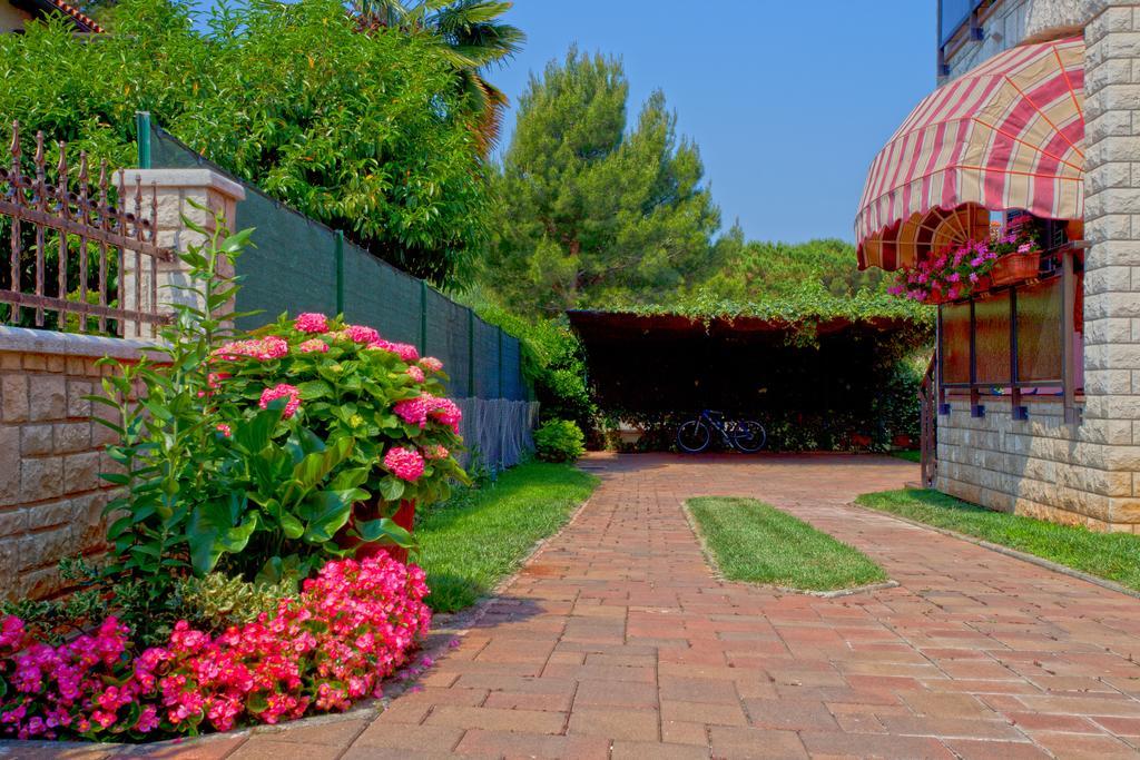 Apartments Daniela Novigrad Istria Dış mekan fotoğraf