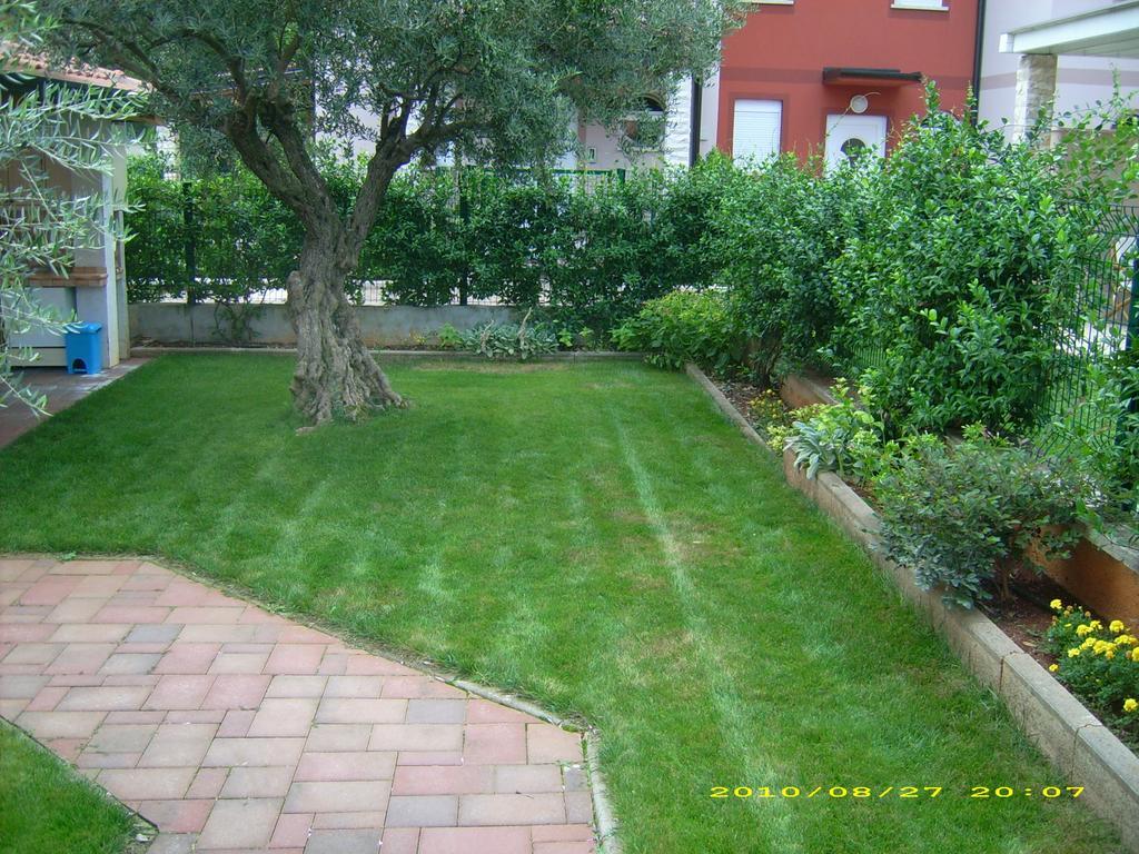Apartments Daniela Novigrad Istria Dış mekan fotoğraf