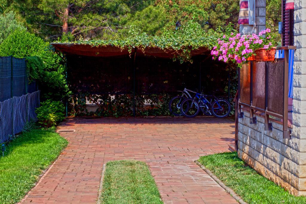 Apartments Daniela Novigrad Istria Dış mekan fotoğraf